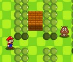 Mario Arena